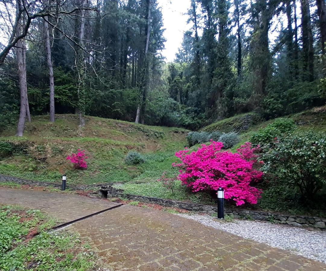 Il Bosco di Campo Marzano rooms&apartments Borzonasca Esterno foto