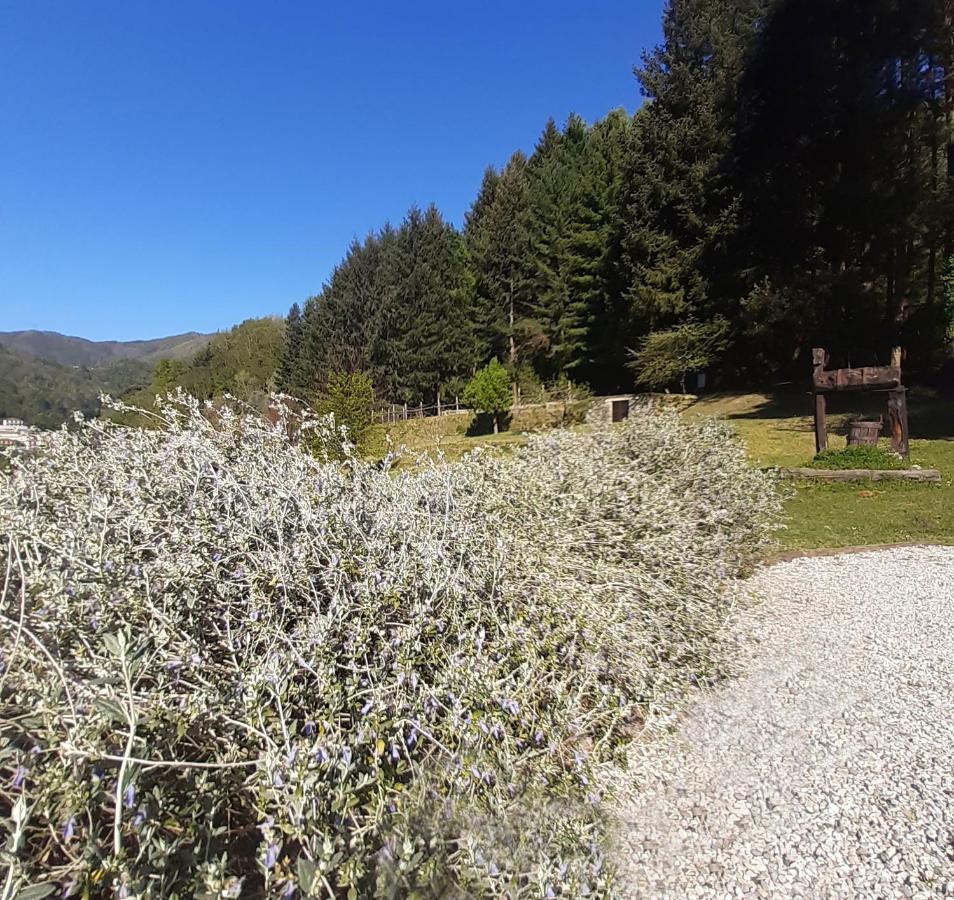 Il Bosco di Campo Marzano rooms&apartments Borzonasca Esterno foto