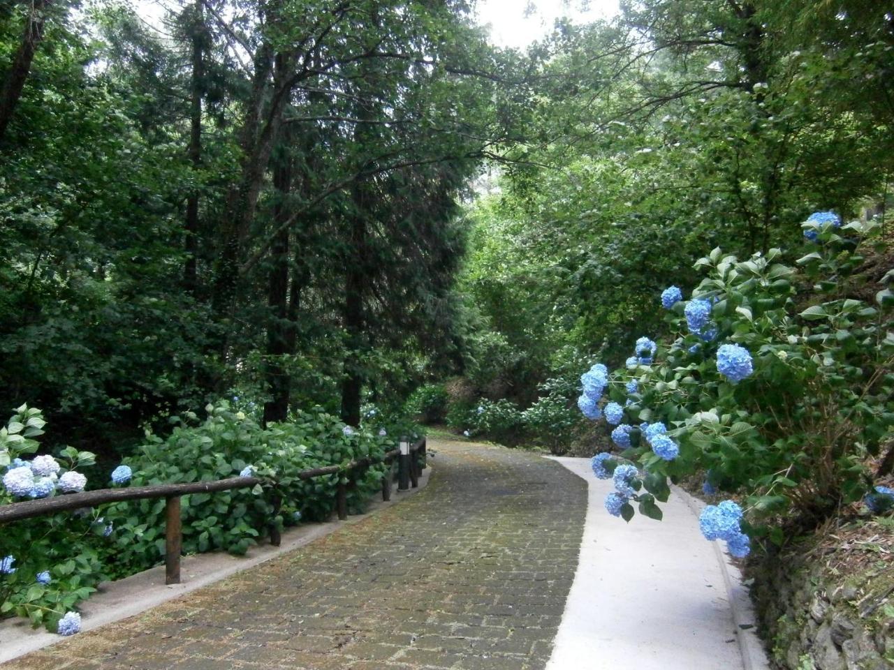 Il Bosco di Campo Marzano rooms&apartments Borzonasca Esterno foto