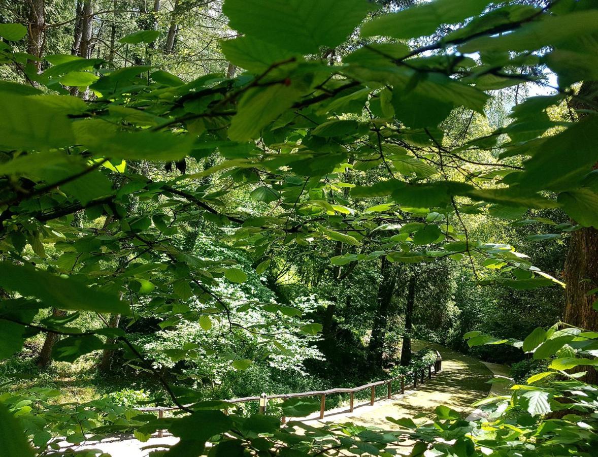 Il Bosco di Campo Marzano rooms&apartments Borzonasca Esterno foto