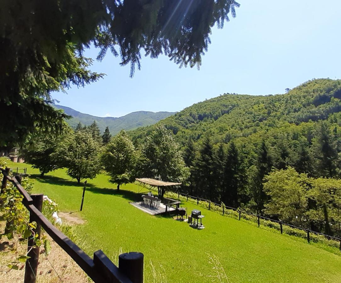 Il Bosco di Campo Marzano rooms&apartments Borzonasca Esterno foto